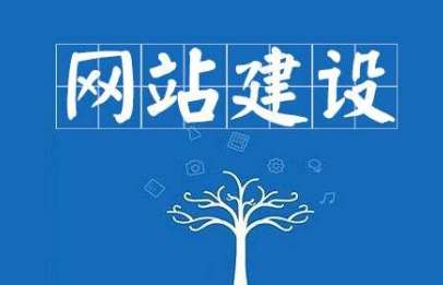 一个网站的质量如何怎么来判断？