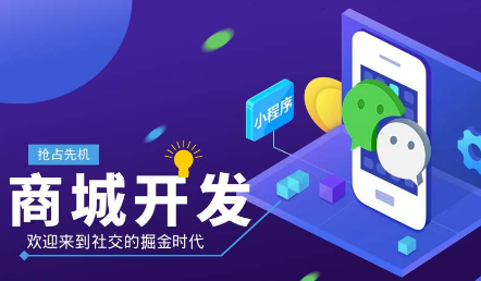 商城网站建设