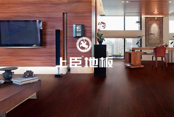 上臣地板高端网站建设